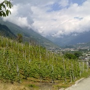 02_Rumo (4)